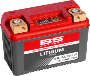 BS BATTERY Lithium LiFePO4 Battery